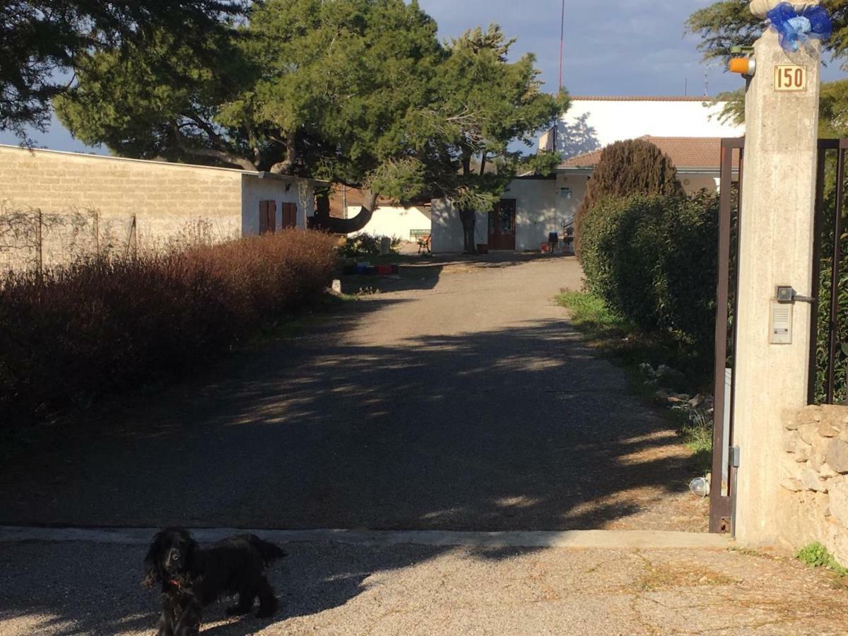 B&B Nuzzi Cassano delle Murge Exterior foto